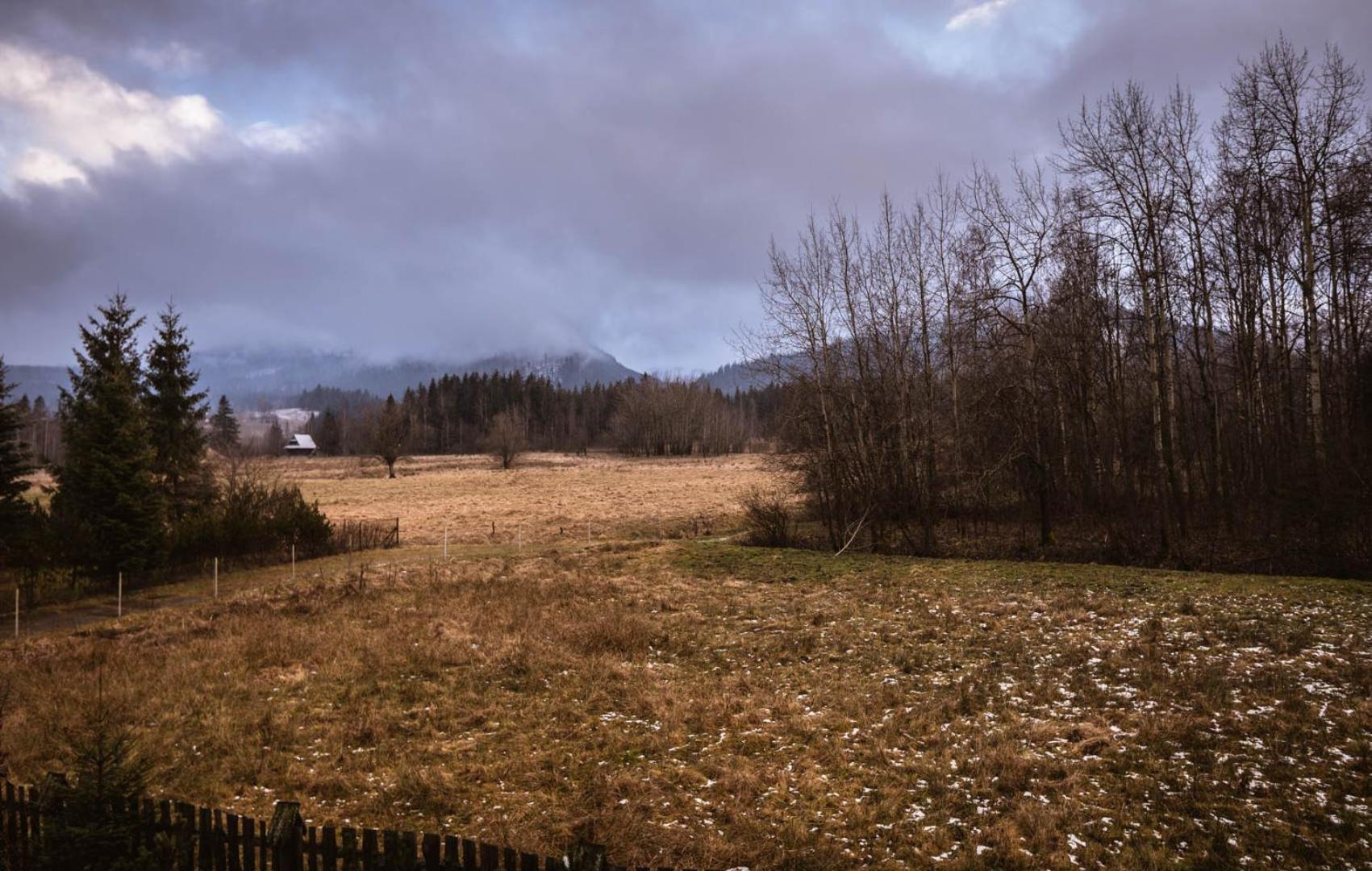 Nosalowka Zakopane Zewnętrze zdjęcie